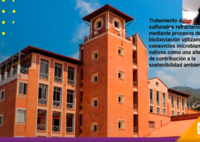 Norma Y. Rojas A. Tratamiento de minerales sulfurados refractarios de oro mediante procesos de biolixiviacion utilizando consorcios microbianos nativos como una alternativa de contribución a la sostenibilidad ambiental