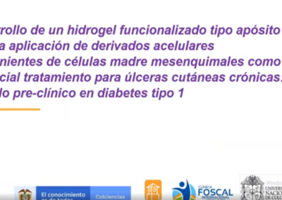 Silvia M. Becerra B. Desarrollo de un hidrogel funcionalizado tipo aposito para la aplicación de derivados acelulares provenientes de celulas madres mesenquimales como potencial tratamiento para ulceras cutaneas cronicas : modelo pre-clínico en diabetes tipo I.